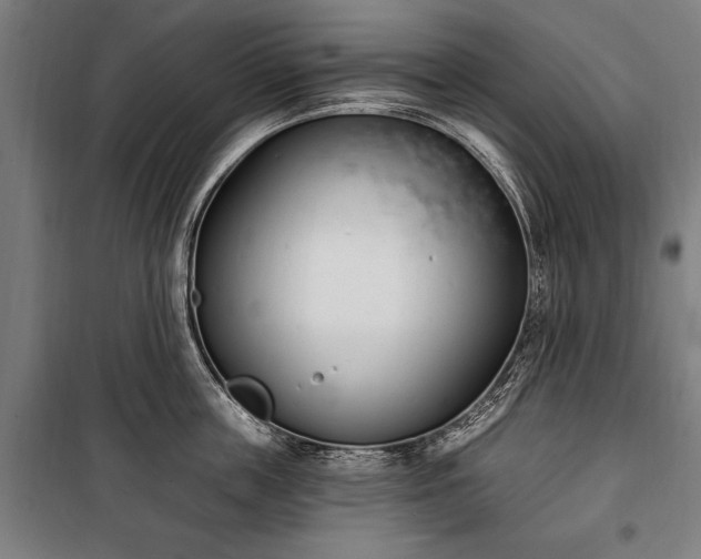 X0000100320859200806121102