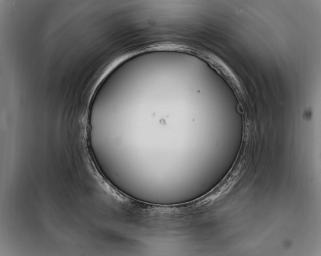 X0000100320860200806121102