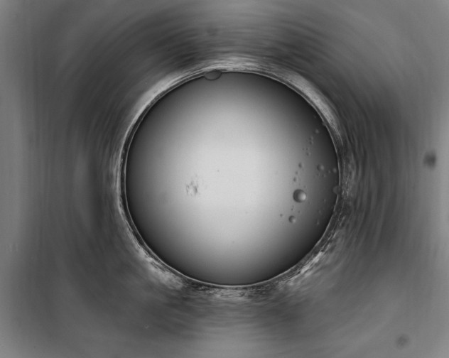 X0000100320861200806121102