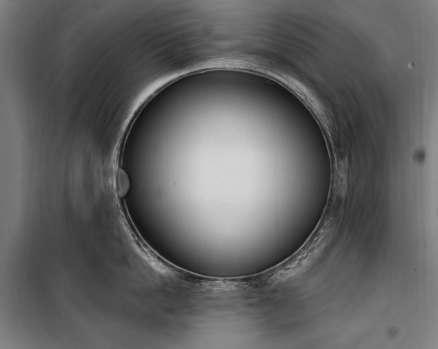 X0000100320862200806121102