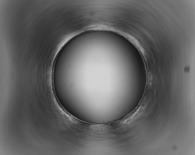 X0000100320863200806121102