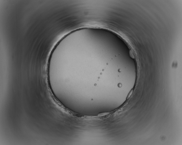 X0000100320864200806121102