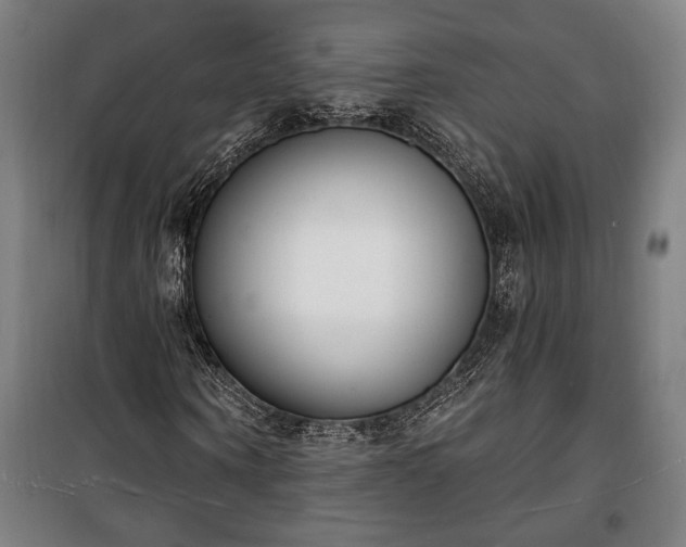 X0000100320866200806121102