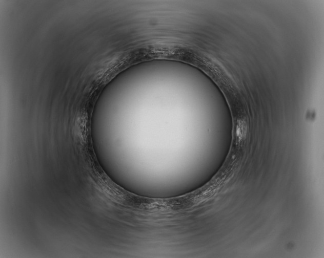 X0000100320867200806121102