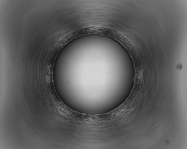 X0000100320868200806121101