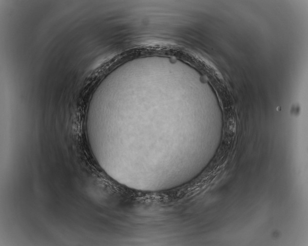 X0000100320869200806121101