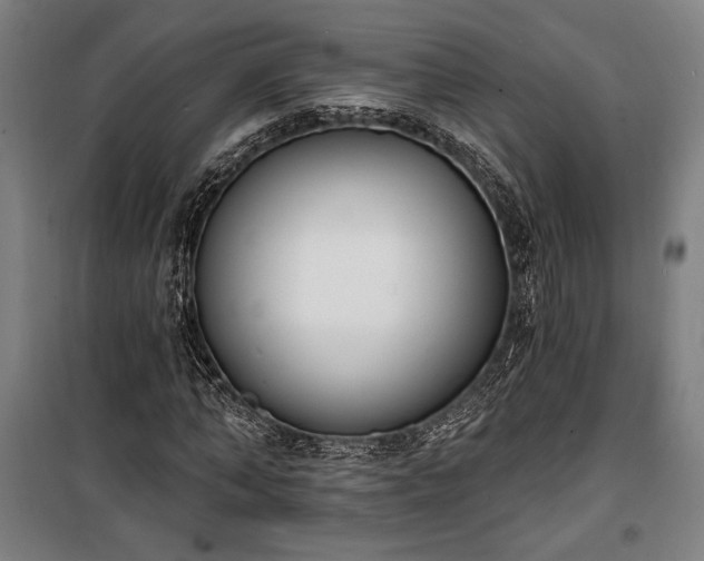 X0000100320870200806121101