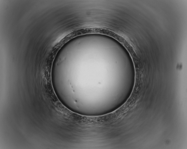 X0000100320871200806121101