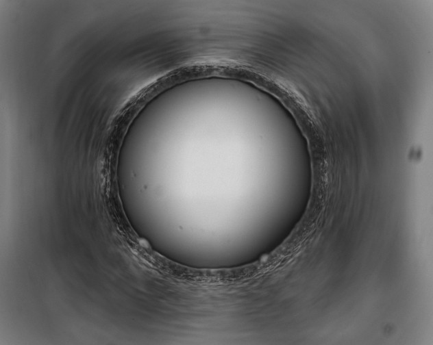 X0000100320872200806121101