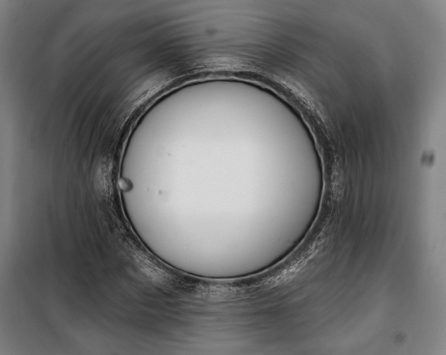 X0000100320873200806121101