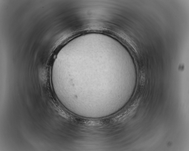 X0000100320874200806121101