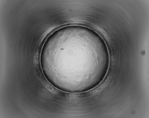 X0000100320875200806121101