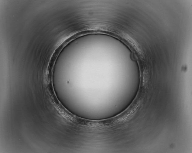 X0000100320876200806121101