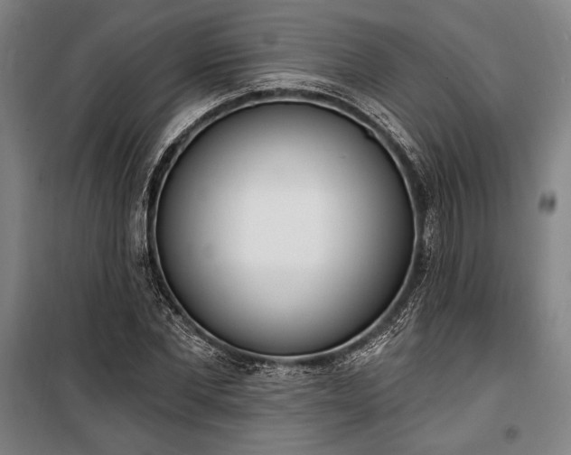 X0000100320877200806121101