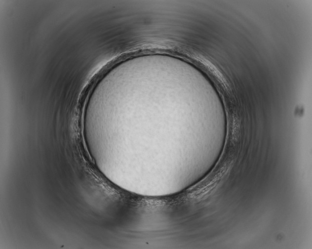 X0000100320878200806121101