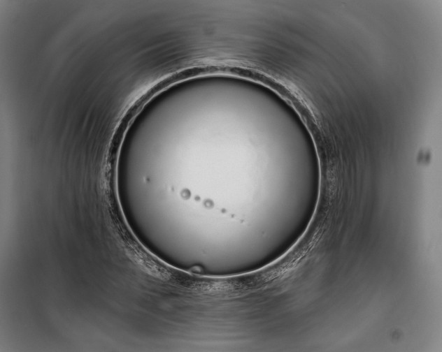 X0000100320879200806121101