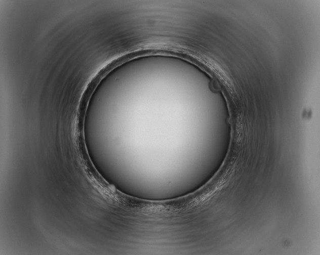 X0000100320880200806121101