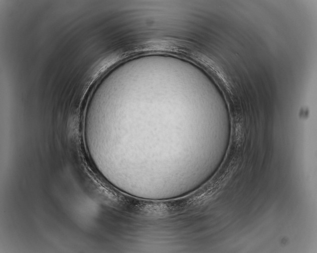 X0000100320882200806121101