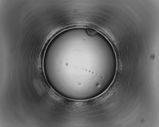 X0000100320883200806121101