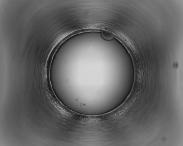 X0000100320884200806121101