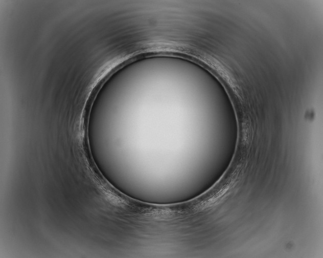 X0000100320885200806121101