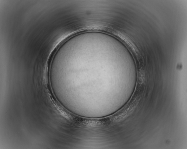 X0000100320886200806121101