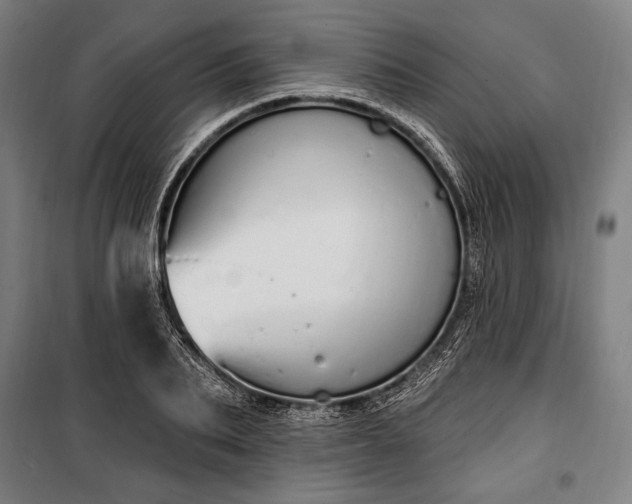 X0000100320887200806121101