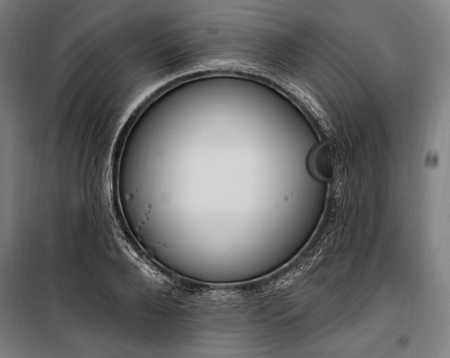 X0000100320888200806121101