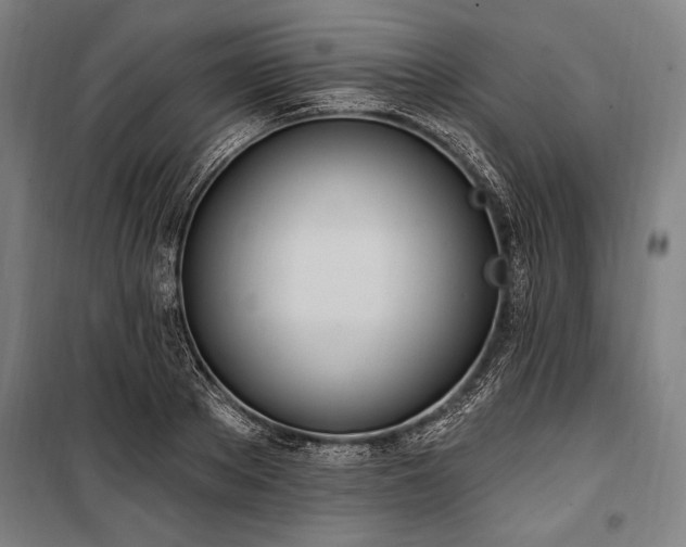 X0000100320889200806121101