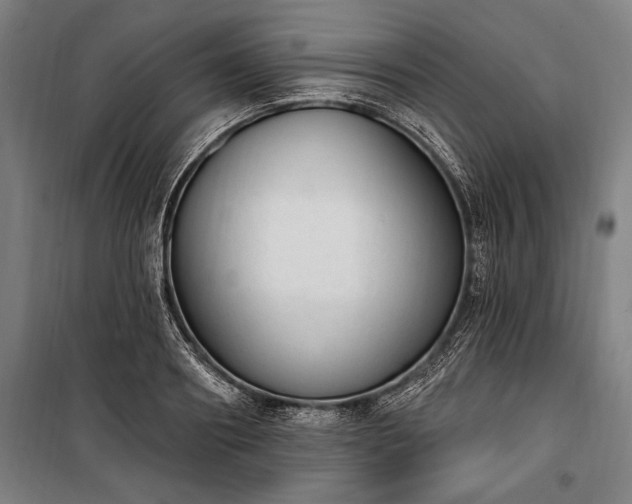 X0000100320890200806121101