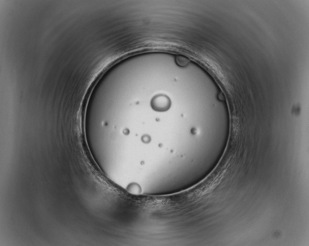 X0000100320891200806121101