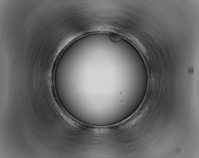 X0000100320893200806121101