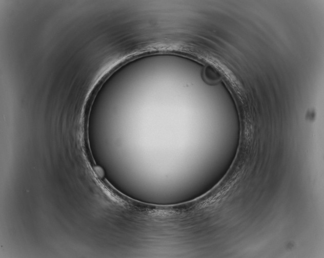 X0000100320894200806121101