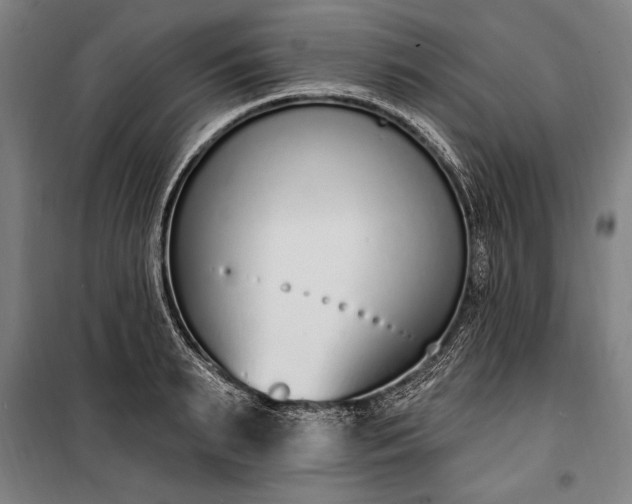 X0000100320895200806121101