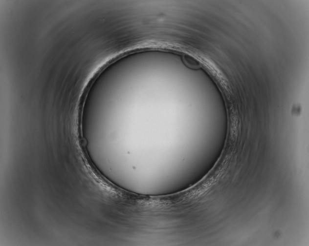 X0000100320896200806121101