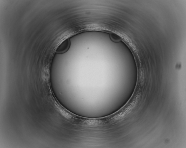 X0000100320897200806121101