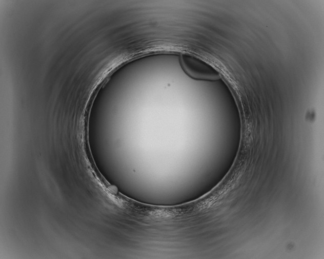 X0000100320898200806121101