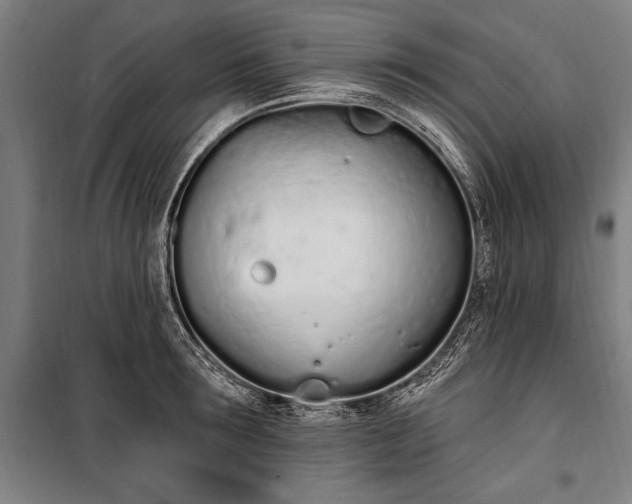 X0000100320899200806121101