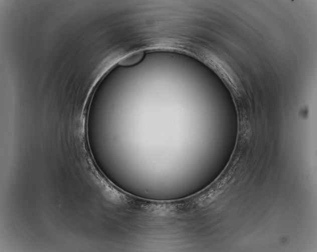 X0000100320900200806121101