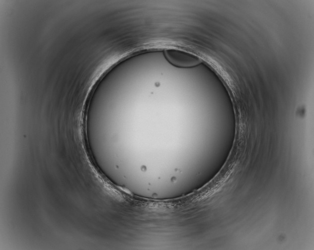 X0000100320901200806121101