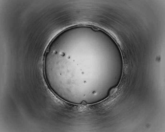 X0000100320903200806121101