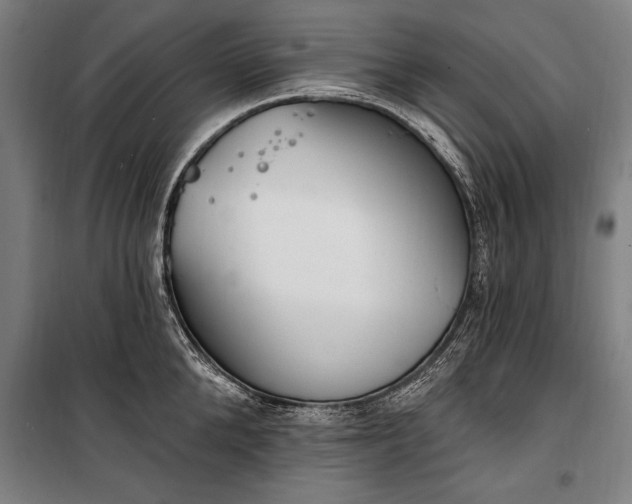 X0000100320904200806121101