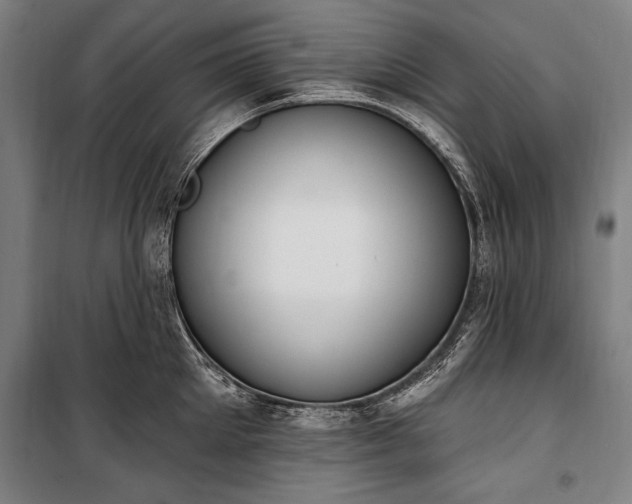 X0000100320905200806121101