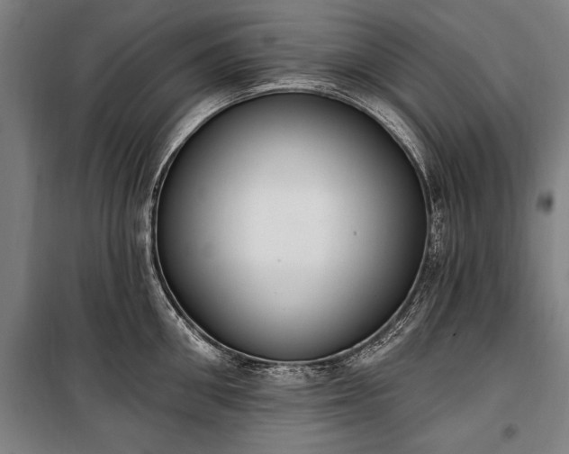 X0000100320906200806121101