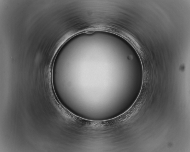 X0000100320907200806121101