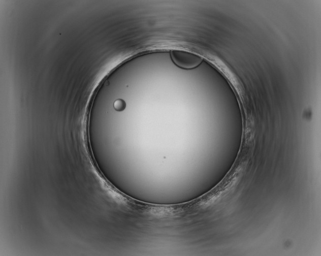 X0000100320909200806121101