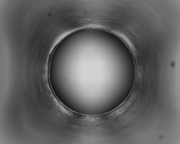 X0000100320910200806121101