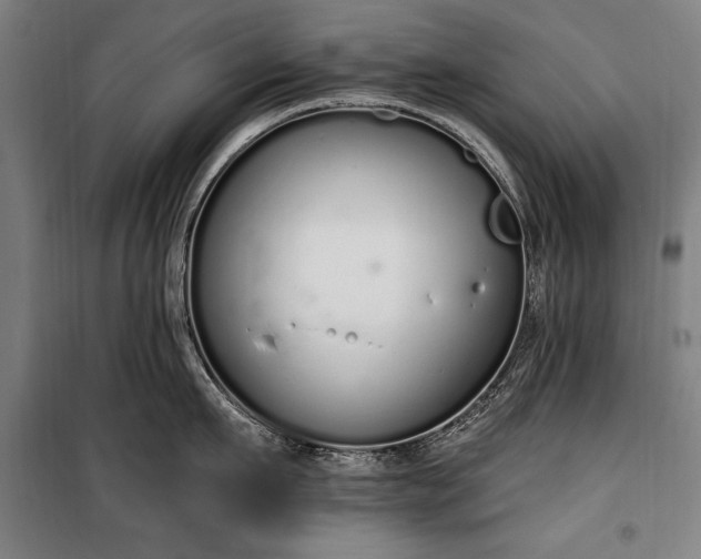 X0000100320911200806121101