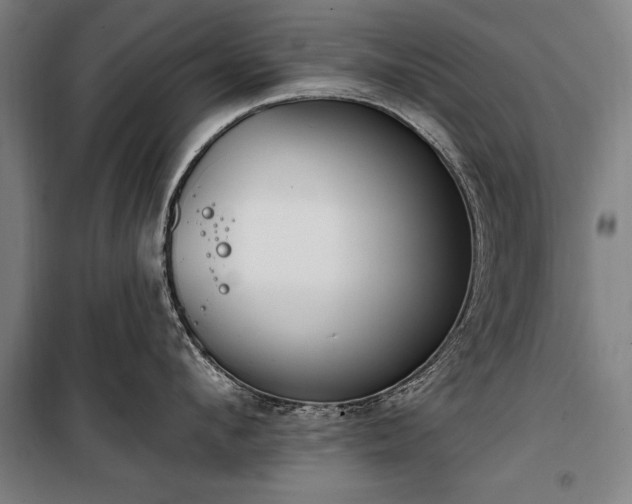 X0000100320912200806121101