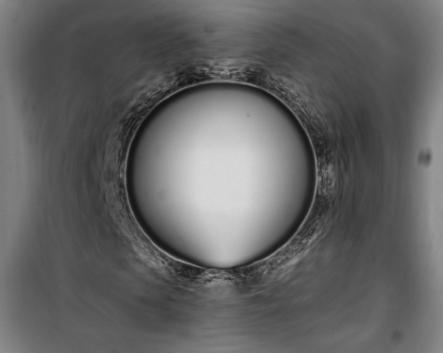 X0000100320913200806121100